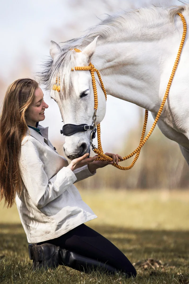 Fiore Hackamore (System 2) C